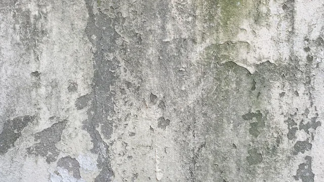 Foundation repair work along a basement wall in Newark, NJ