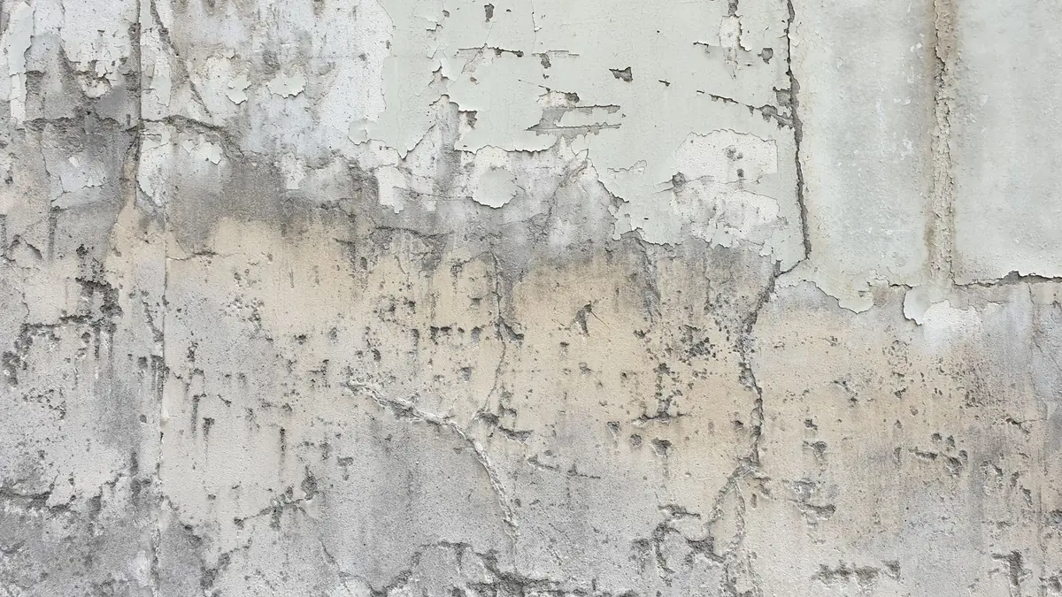 Contractor examining a cracked foundation wall in Newark, NJ